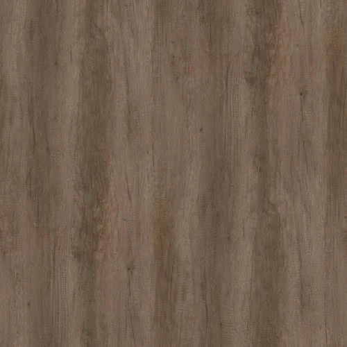 Nebraska Oak